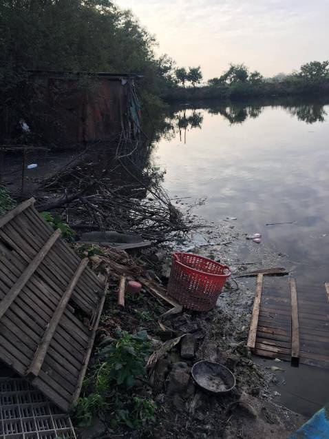 Chưa có thời gian ***. ..... hình ảnh và video vui là chính..