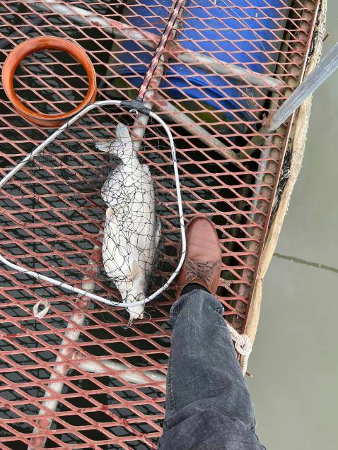 Giao hàng đầy đủ số lượng đã đặt, mẫu mã đẹp dễ sữ dụng độ bền tùy người sủ dụng