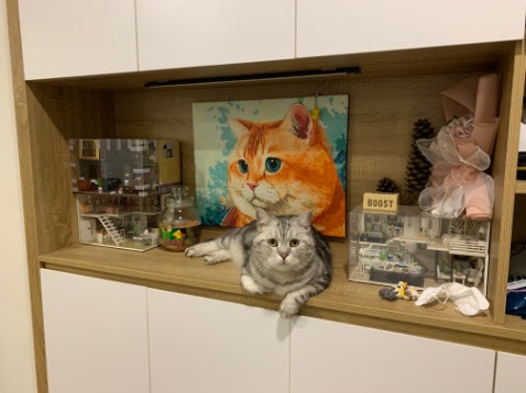 Riêng Diêm Liên Khoa ra quyển nào mua quyển ấy