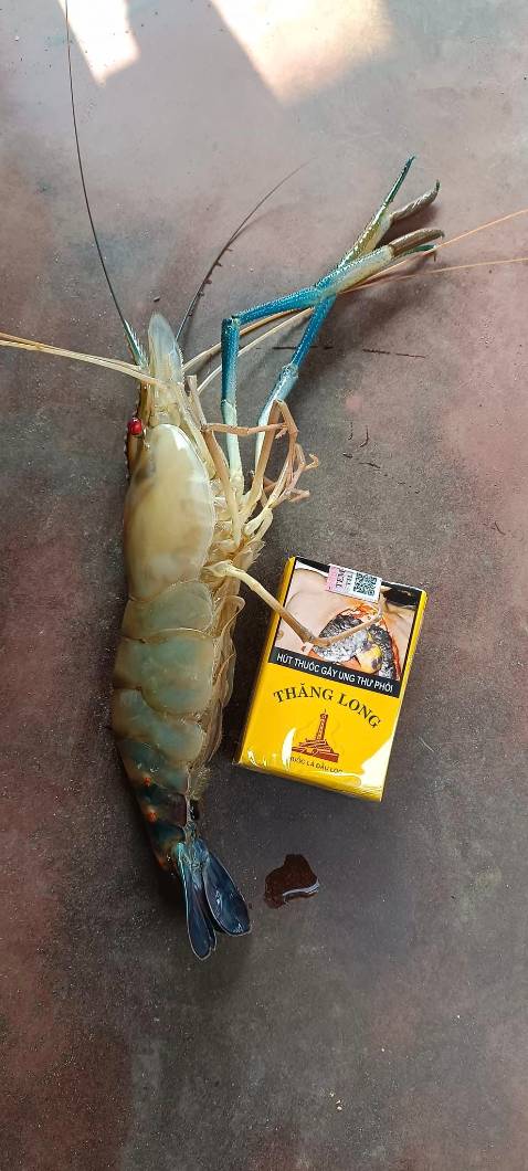 Tôi đã mua thêm 3 cây nữa của shop rồi.haha Đánh giá 5 sao