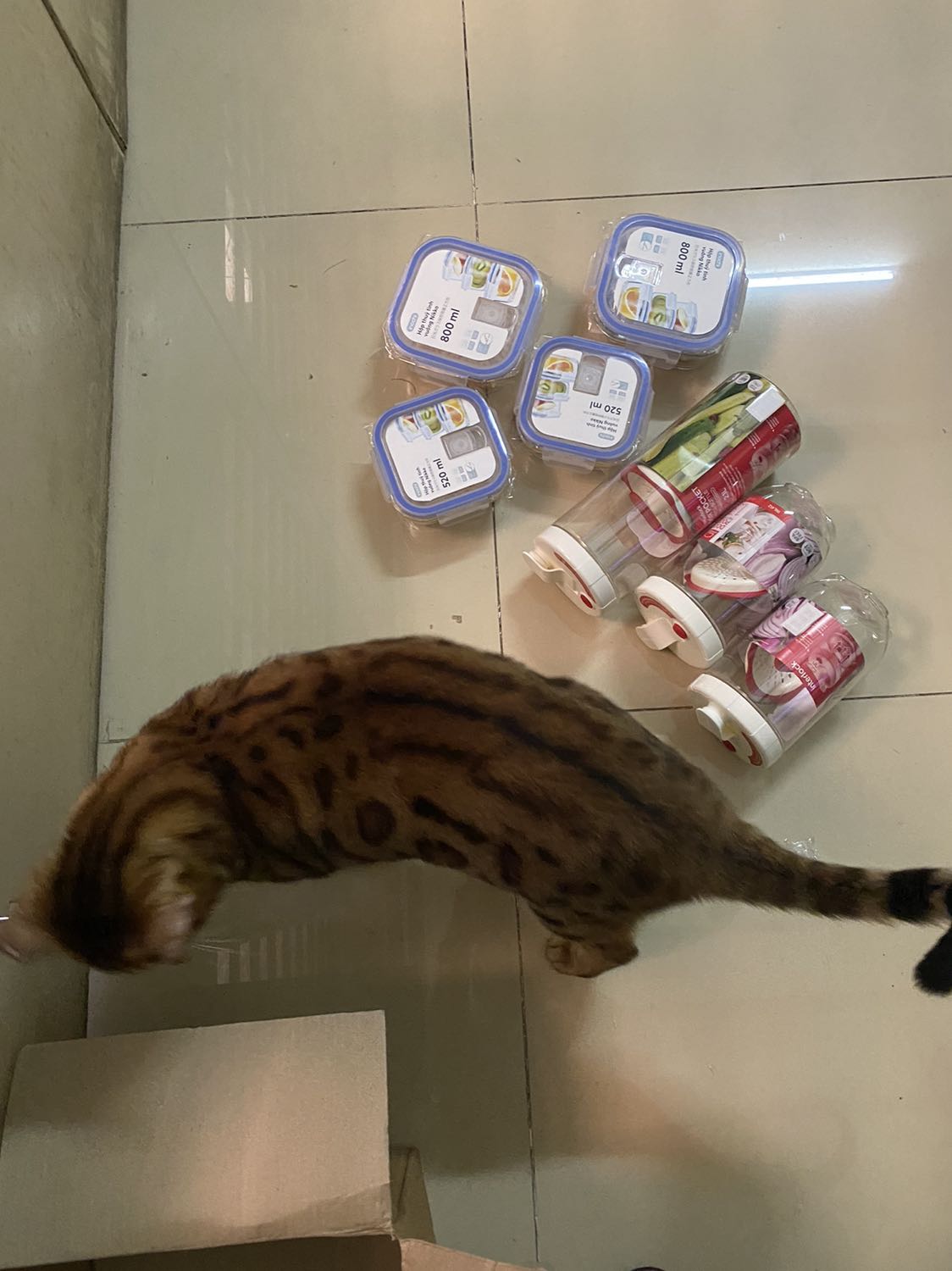 Hộp cao & nhỏ gọn , để muối dưa cà, hành kiệu , để được bên cánh cửa tủ lạnh rất tiện lợi !