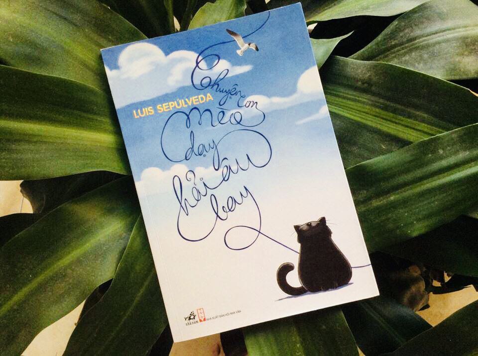 Sách siêu hay. Cuốn sách đáng đọc trong đời. 
Ai nói người lớn không đọc được sách thiếu nhi? Nếu nói như vậy chắc cú là chưa đoc cuốn này rồi. Đây là tác phẩm siêu kinh điển viết cho thiếu nhi nhưng mà người lớn chắc chắn phải đọc, phải xúc động rơi nước mắt. 

" Chúng ta đã bảo vệ con từ khoảnh khắc con mổ vỡ lớp vỏ trứng ra đời. Chúng ta đã dành cho con sự chăm sóc mà không hề nghĩ tới việc biến con thành một con mèo. Chúng ta yêu con như yêu một con hải âu. Thật dễ dàng để yêu thương một kẻ giống mình, nhưng để yêu thương ai đó khác mình thực sự rất khó khăn, và con đã giúp chúng ta làm được điều đó. Con là chim hải âu, và con phải sống cuộc đời của một con hải âu. Con phải bay.” Đây là trích đoạn xúc động nhất trong cuốn sách: “Chuyện con mèo dạy hải âu bạy”. 
"Chuyện con mèo dạy hải âu bay" khởi sự bằng nước mắt, khi một cô hải âu bị mắc kẹt giữa lớp váng dầu trên biển, trong lúc hấp hối đã quyết định giao lại cho chú mèo mập ú quả trứng đang ấp của mình. Kể từ đây, chú mèo phàm ăn, vô lo bước vào một hành trình mà bản thân nó chưa hề được chuẩn bị trước: trở thành "mẹ" của chú chim hải âu đang còn trong trứng. Đồng thời, hứa với chim mẹ hải âu rằng sẽ dạy con nó biết bay.  
Và sự thật là 
Bắt đầu từ lúc mổ lớp vỏ trứng chui ra cho đến những sải cánh thực sự đầu tiên, Lucky đã luôn được bao bọc và săn sóc cẩn thận bởi Zorba – con mèo mun to đùng, mập ú – và bạn bè của nó bao gồm ngài mèo Đại Tá đầy uy tín, mèo Secretario nhanh nhảu, mèo Einstein uyên bác và mèo Bốn Biển đầy kinh nghiệm. Bất chấp bức tường ranh giới mang tên chủng loài, tất cả những con mèo nơi bến cảng Hamburg sầm uất đều dành cho Lucky tình yêu thương sâu sắc và dõi theo từng bước đi của cô, chỉ dẫn và khích lệ mỗi khi cô gục ngã. 
Câu chuyện là bài học sâu sắc về tình yêu thương gia đình, về sức mạnh tập thể, về sự nỗ lực tìm lấy bản thân.  Những bài học về việc trân trọng và làm tròn lời hứa, lòng dũng cảm, dám đương đầu với mọi khó khăn thử thách, về tình yêu thương ngay cả với những kẻ không giống mình,về bảo môi trường được tác giả lồng ghép hết sức tinh tế tạo nên sức hút cũng như giá trị của câu chuyện.