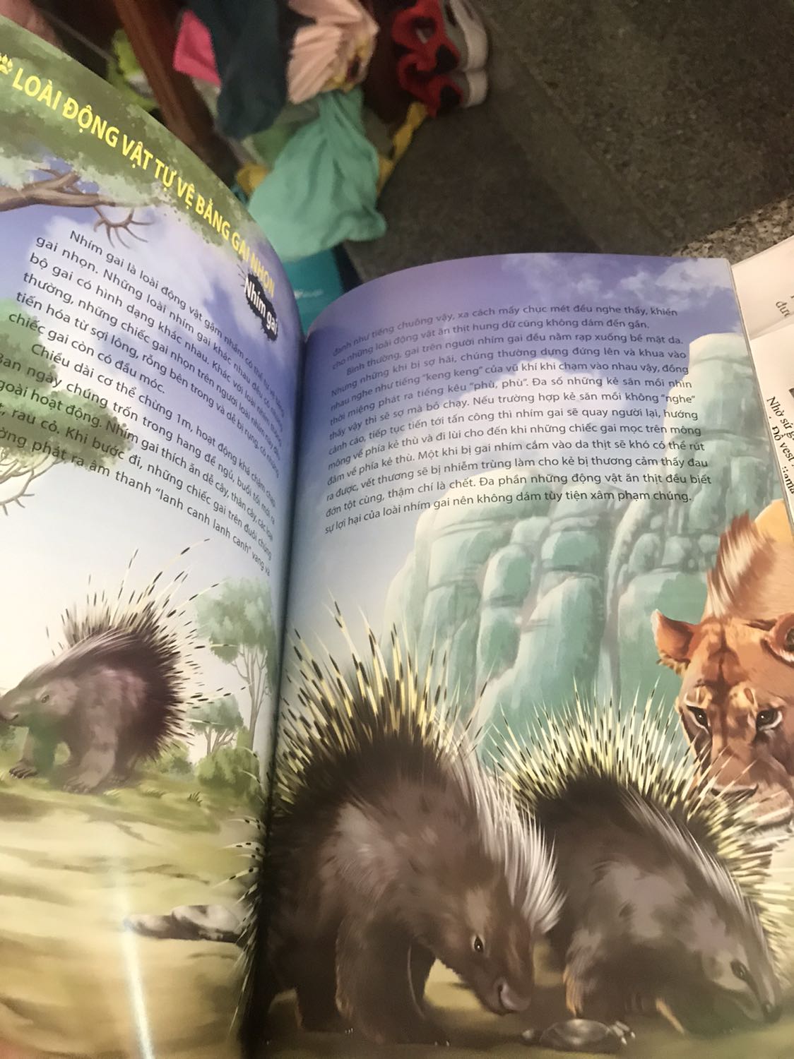 sách in hình rất đẹp, nội dung khá hay, giao hàng tiki thì nhanh đóng gói kỹ