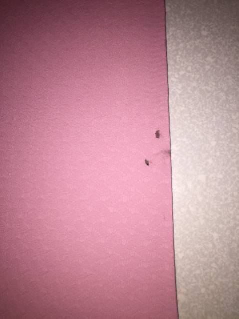 Shop ơi! Shop xem giúp mình! Thảm mới mà các vân đều có lực ép giống như đã qua sử dụng, thảm bị dính mực, bị 1 lỗ thủng, và nhìn khá cũ không khác nào thảm đã sử dụng rồi. Shop kiểm tra lại hàng trước khi giao cho khách. Gọi ko nghe máy, Nt qua *** ko thấy trl.