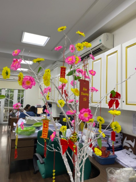 Hihi. Nhìn vui mắt, dễ thương lắm. ^^