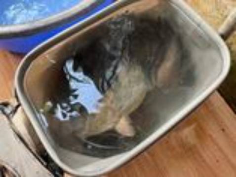 Chưa sử dụng nên chưa biết poiuytrewqsafhklmbvcz