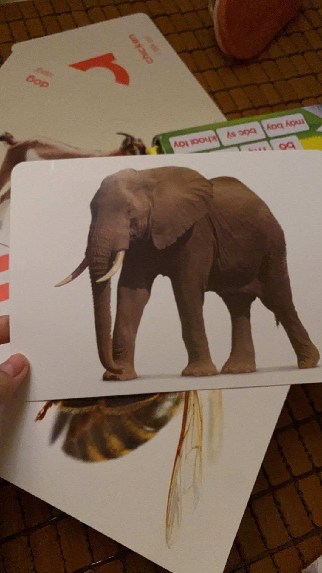 Nhiều chủ đề hay thật ý. mình còn thích đừng nói đến trẻ, có các con vật trái cây để cho bé học hỏi rất hay