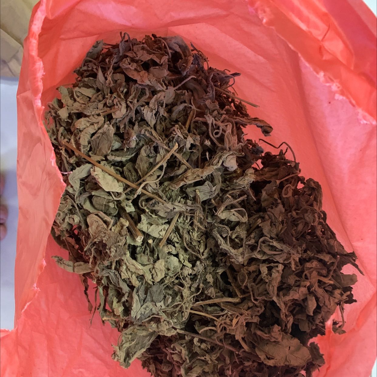 Có vẻ phải đem phơi thêm nhưng vẫn cho 5 sao Có vẻ phải đem phơi thêm nhưng vẫn cho 5 sao
