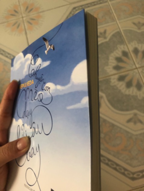 Một câu chuyện nhỏ về lới hứa của một con mèo mun và hải âu. Cuối cùng thì chú mèo mun to đùng, mập ú cùng với sự đồng hành của 3 chú mèo khác đã giữ được lời hứa với hải âu mẹ sẽ giúp cho cô bé hải âu con xinh đẹp tập bay. "Thật dễ dàng để chấp nhận và yêu thương một kẻ nào đó giống mình, nhưng để yêu thương ai đó khác mình thực sự rất khó khăn, và con đã giúp chúng ta làm được điều đó". Cuối cùng thì cô bé hải âu cũng đã có thể bay lượn trên bầu trời cao vút kia, đã hạnh phúc sống với bản năng của mình. Chú mèo cao quý, tử tế của bến cảng Hamburg lúc này cũng chẳng phải vì lời hứa năm nào nữa, nó đang vì đứa con gái của mình❤️ Một câu chuyện nhẹ nhành, tử tế và đáng iu...