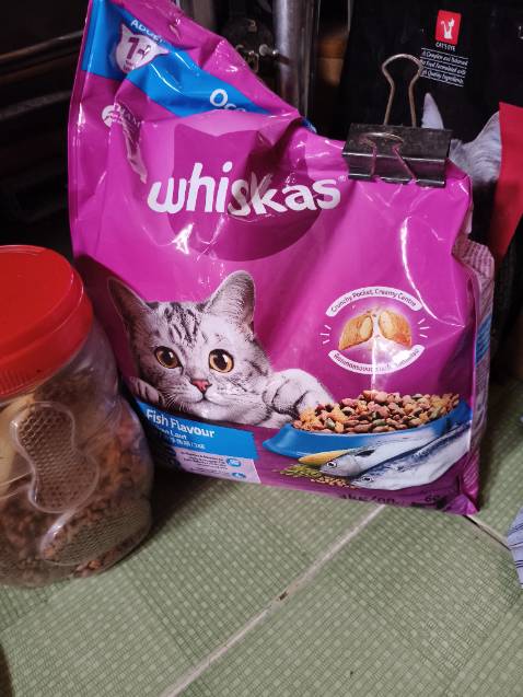 Thức ăn cho mèo tốt