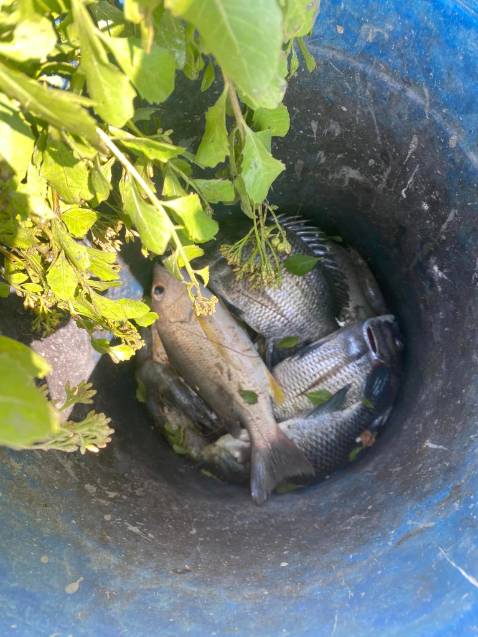 Tốt lắm giao hàng chắc chắn nói chung là e zai mình thích lắm allalalallalalallalalalalalallalalalalala