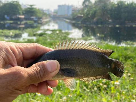 Đẹp xịn rẻ mn nên mua đi nkaaaaaaaaaaaaaaaaaaaaaaaaaaaaaaaa