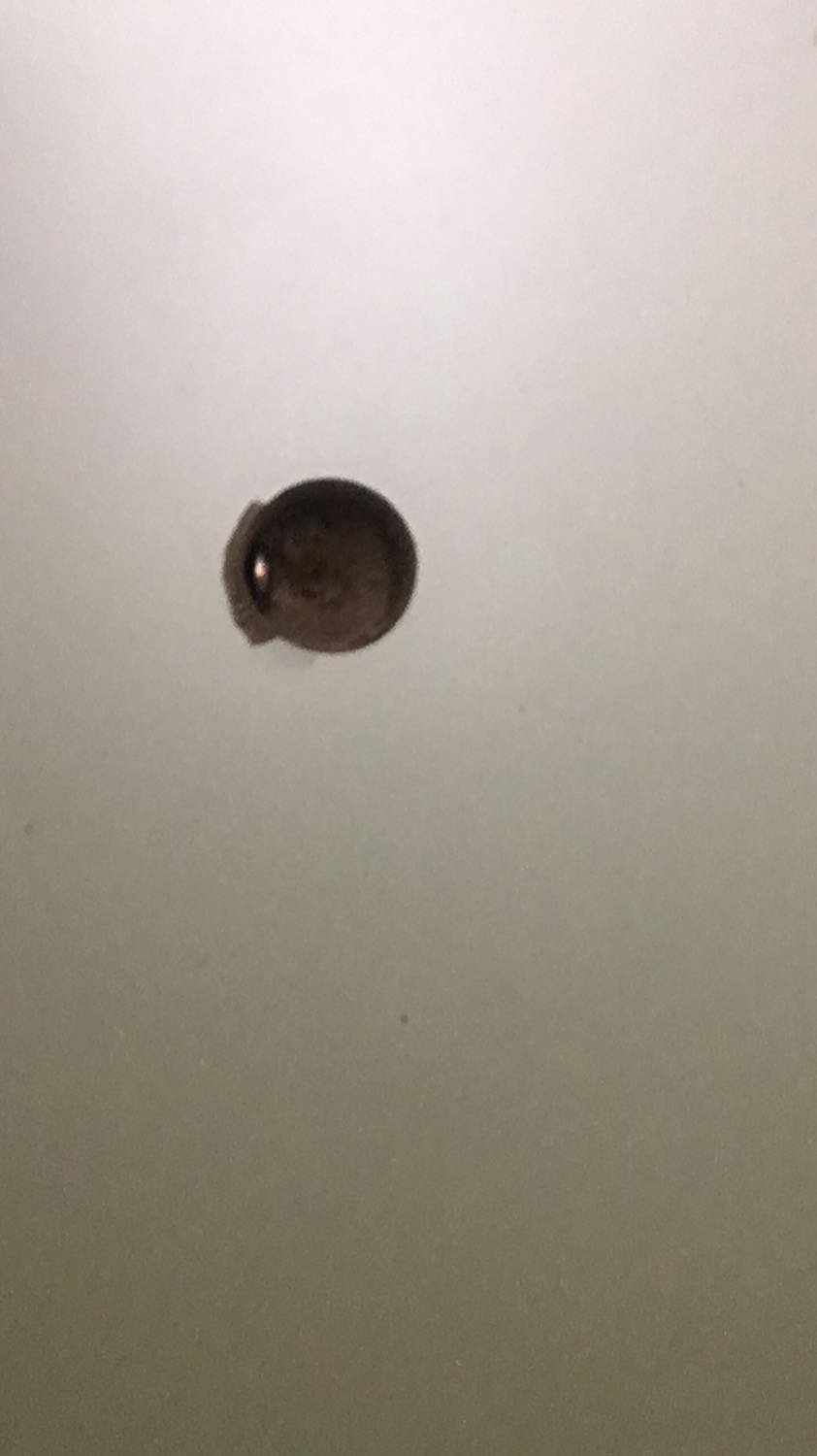 Bàn khác vs hình. Trong hình là ô chia 6 ngăn thực tế chỉ có 4 ngăn. Gỗ cắt ghép và đục lỗ để bắt ốc bị lệch khá nhiều, làm khi ghép lại sẽ có những chỗ bị lệch, vênh, ko vừa khít (như hình). Ốc cam quá ngắn, ko thể bắt vít 4x40 vào được luôn.