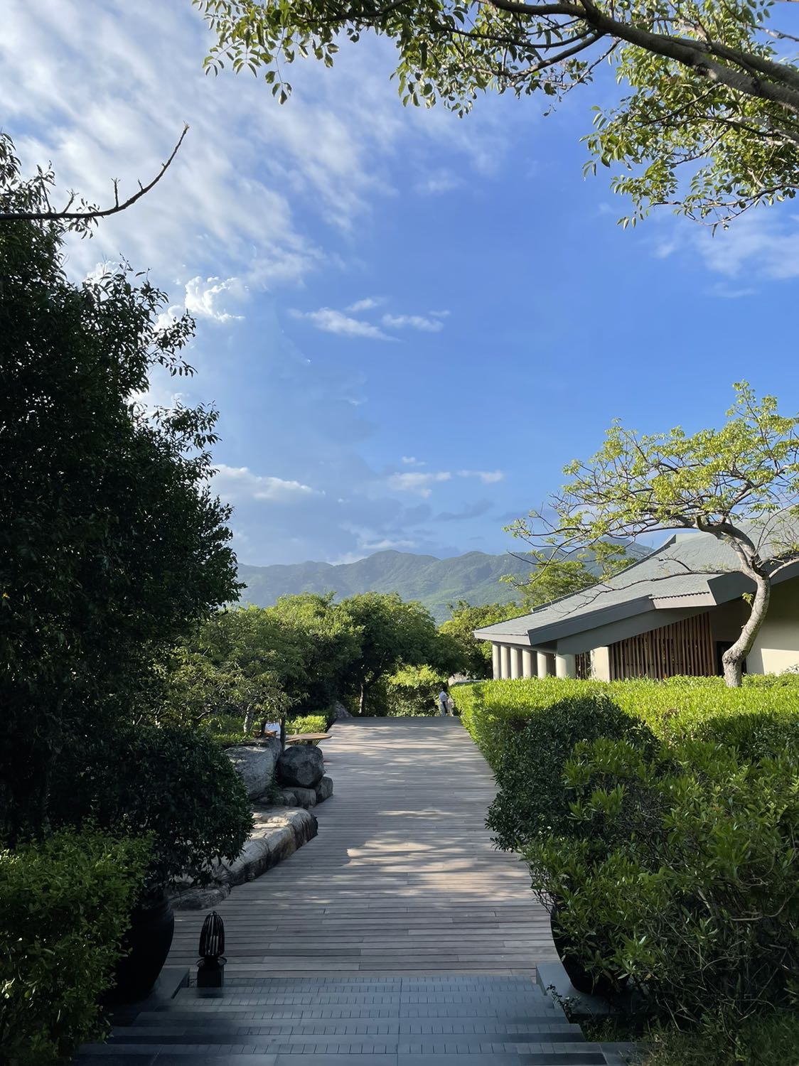 Mẹ mình bị đau khớp gối, dùng thuốc thì hết đau mà hết thuốc lại bị đau, mình mua thử loại này dù ko nghĩ nó sẽ trị bệnh, nhưng mẹ dùng đến lọ thứ hai thì bảo là nó đỡ đau từ trong tuỷ ra rồi, mình cũng thấy vui