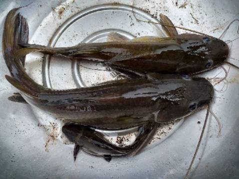 Hàng giao nhanh, đầy đủ khá chắc chắn đóng gói chắc chắn