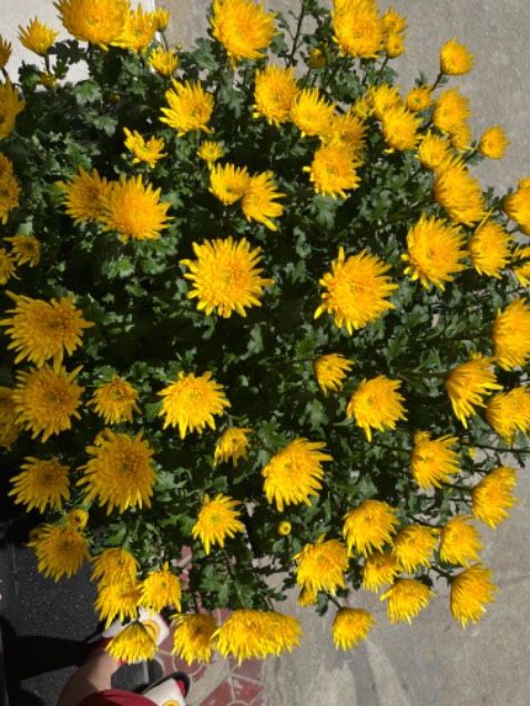 Hdhdbdud dhdjdhd duhdhdhdhd Hdhdbdud dhdjdhd duhdhdhdhd