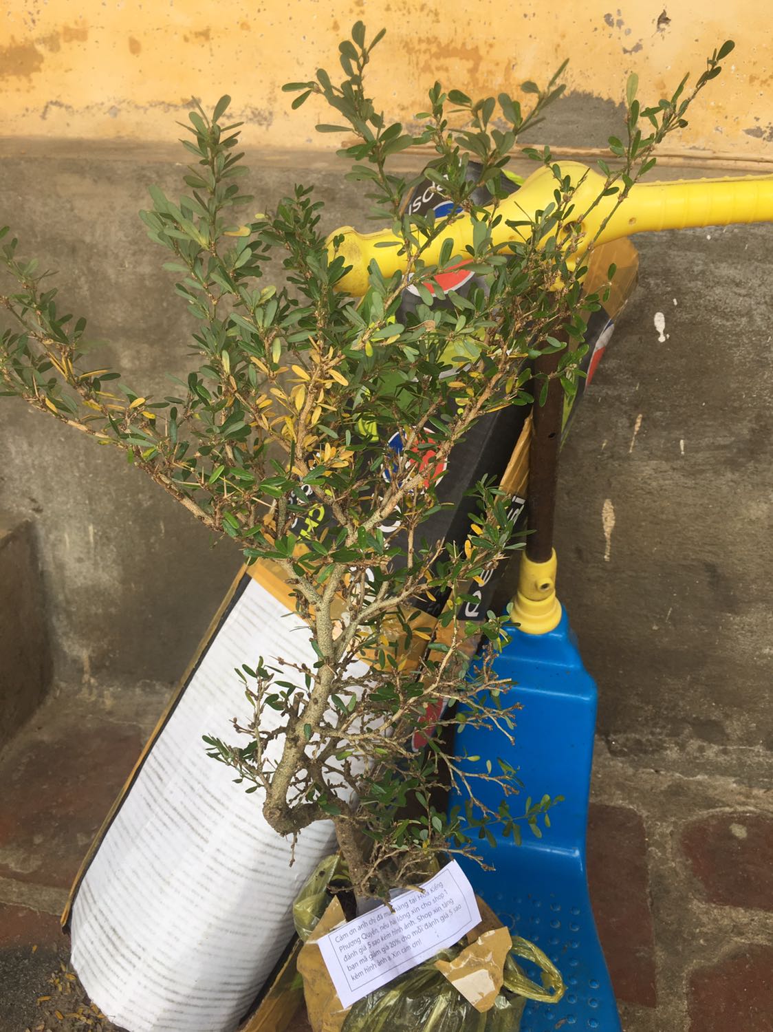 Đã nhận được hàng trưa nay 
Nói chung cũng hài lòng .
Xin cảm ơn tất cả!