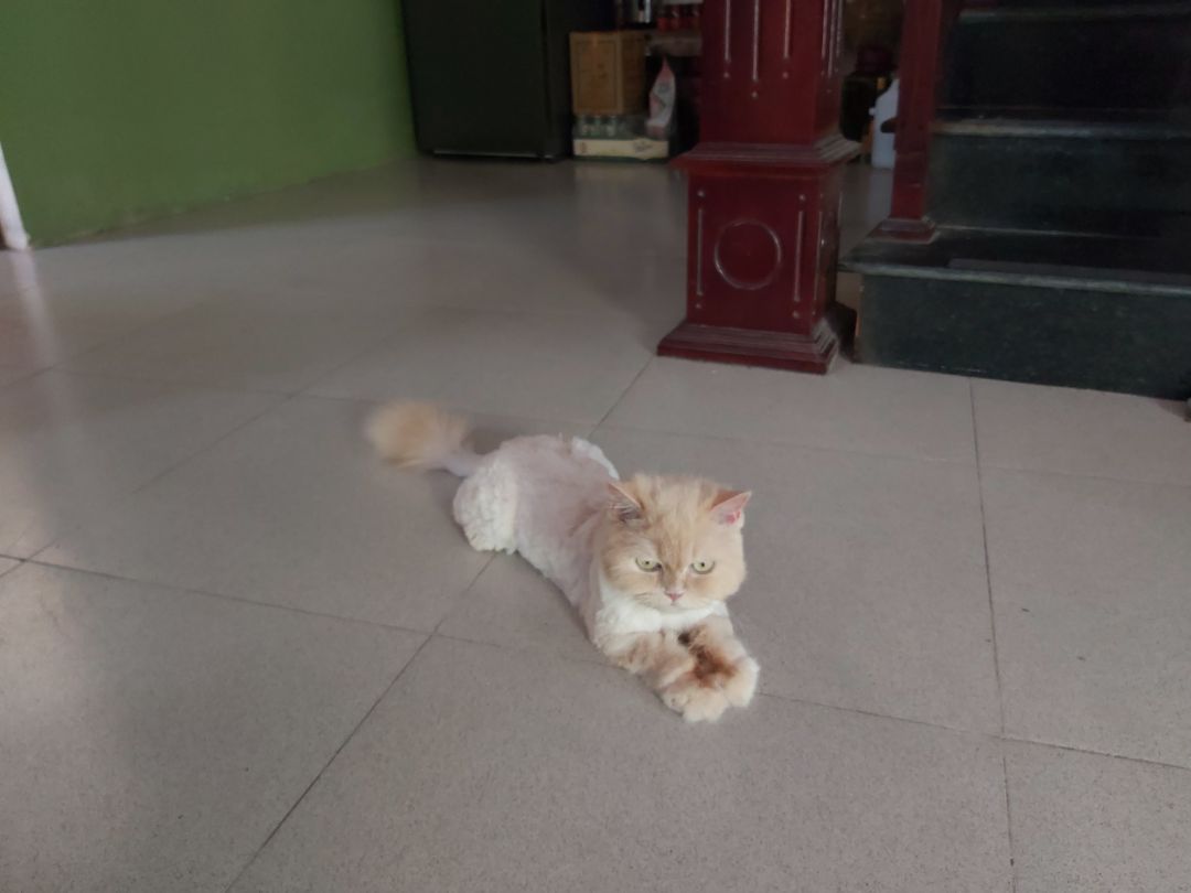 Đóng gói tốt, nước mắm ngon, chuyển hàng nhanh. Nước mắm nguyên cốt