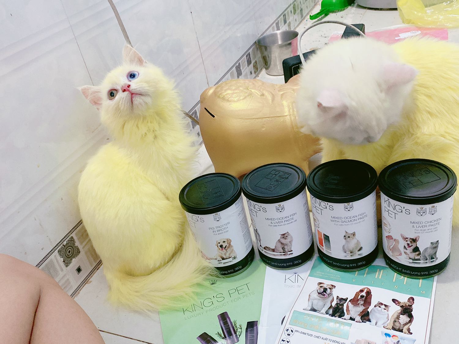 mới đặt tối qua trưa nay đã nhận đc hàng dù mình ở tận BẠC LIÊU. cả mèo lẫn cún nhà mình đều thích ❤️ sẽ ủng hộ shop thêm nữa