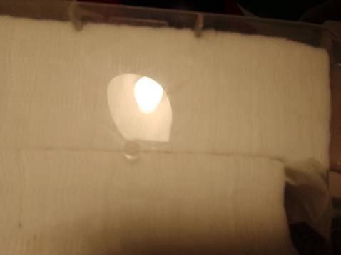 giá hợp lý. giao hàng nhanh, dễ dùng