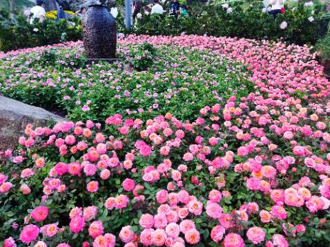 Giao rất nhanh luôn, chưa đc 2h tiki đã alo nhận hàng.sản phẩm đúng hàng chính hãng, nhãn mác đầy đủ