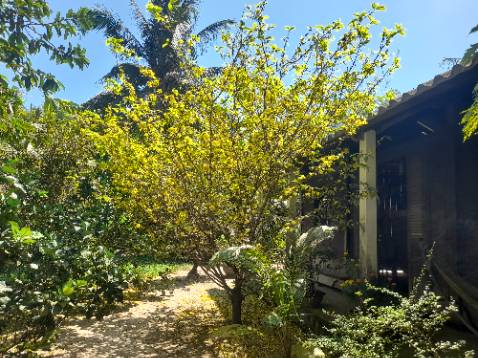 Hàng đẹp, giá rẻ, nhân viên shop nhiệt tình tư vấn, sẽ ủng hộ tiếp