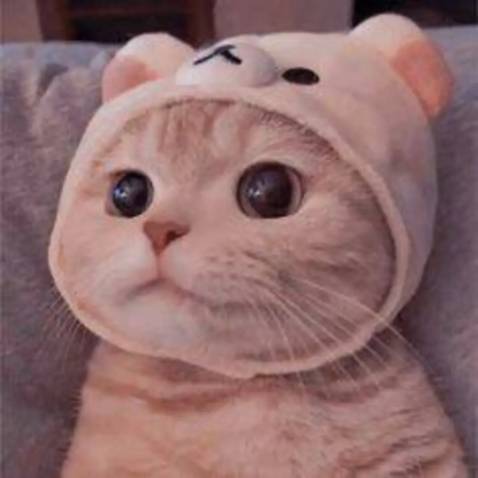 Bị đọng mực ở đầu bút và thỉnh thoảng viết không đều mực ạ