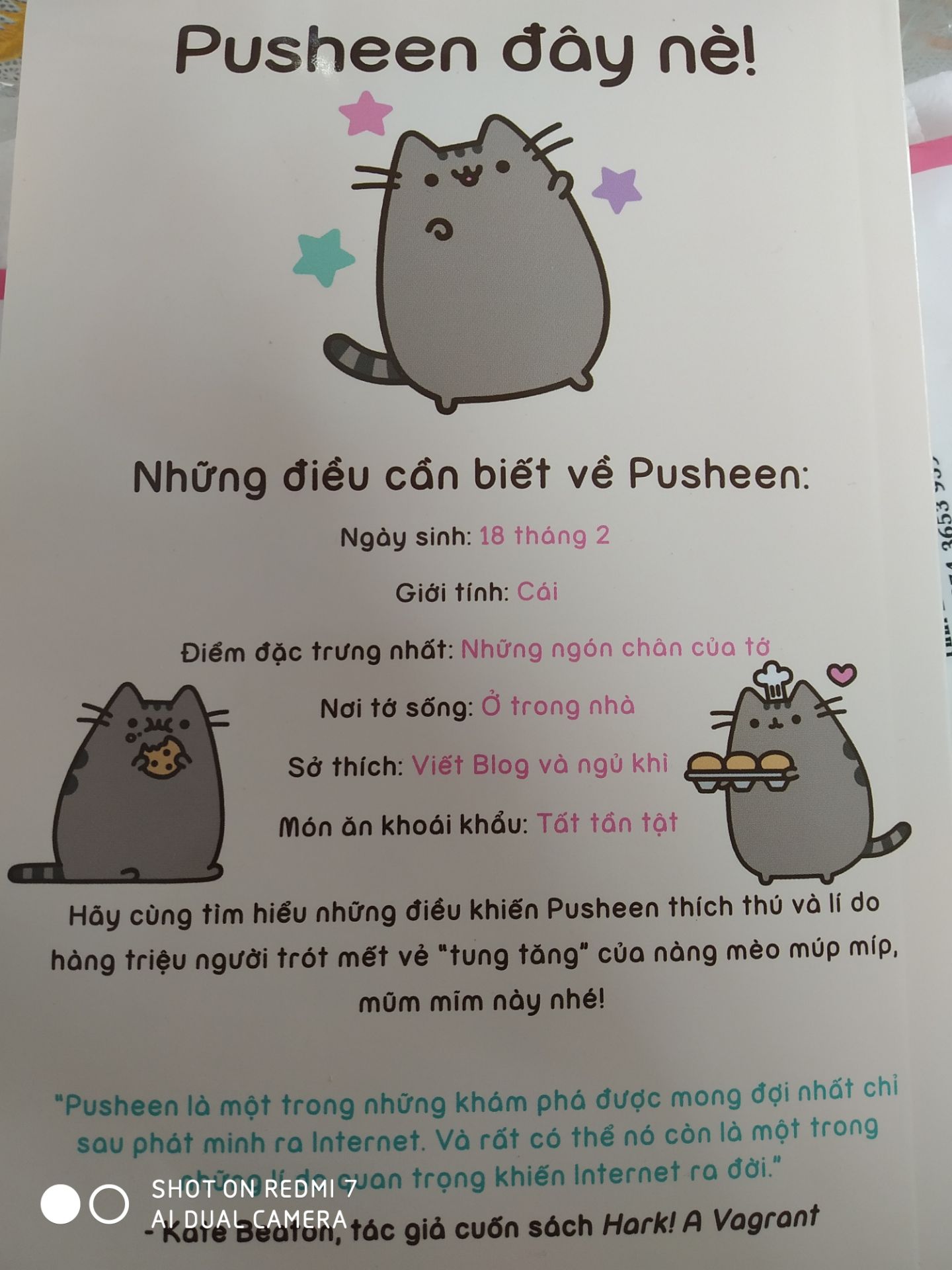Xinh lắm , đọc hay và không nhàm chán , bé mèo rất cute:3