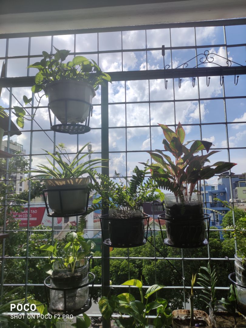 Rất thick lun , 2 lần 5 sao lun nha shop