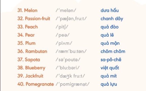 ..................…… hình ảnh chỉ mang tính chất minh hoạ