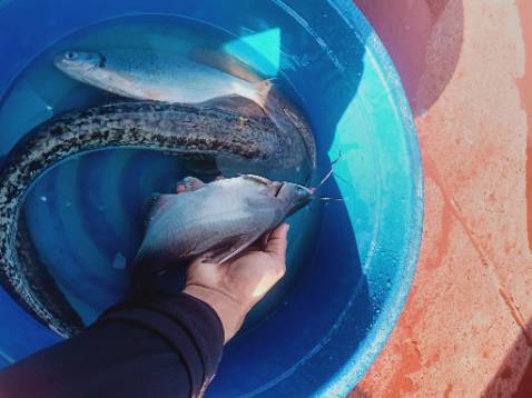 Shop giao hàng nhanh , ổn , hợp giá tiền