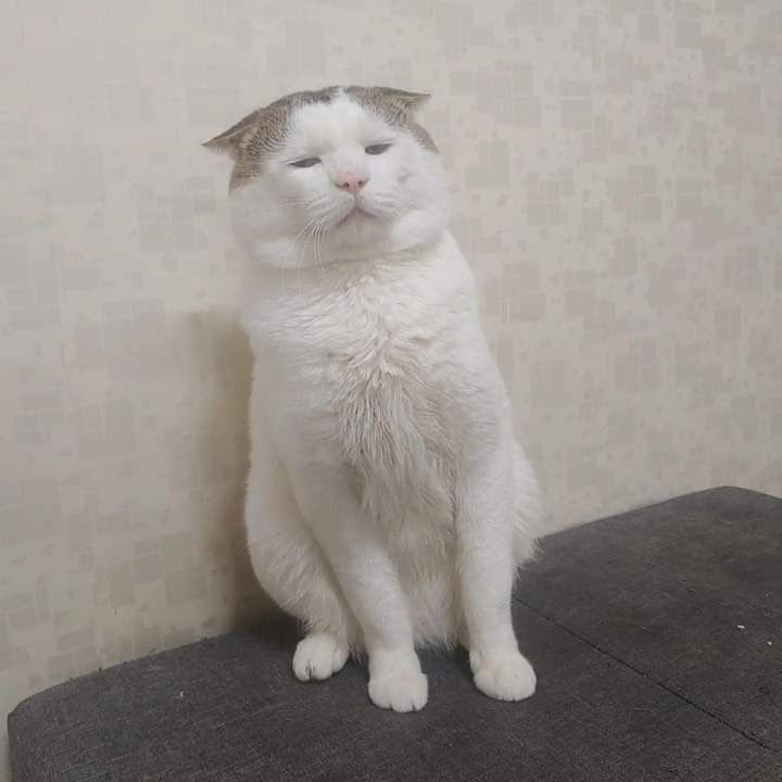 giao hàng nhanh sạc lên pin ầm ầm luôn rất đáng mua nha mọi người , ê hê lần sau se mua tiep