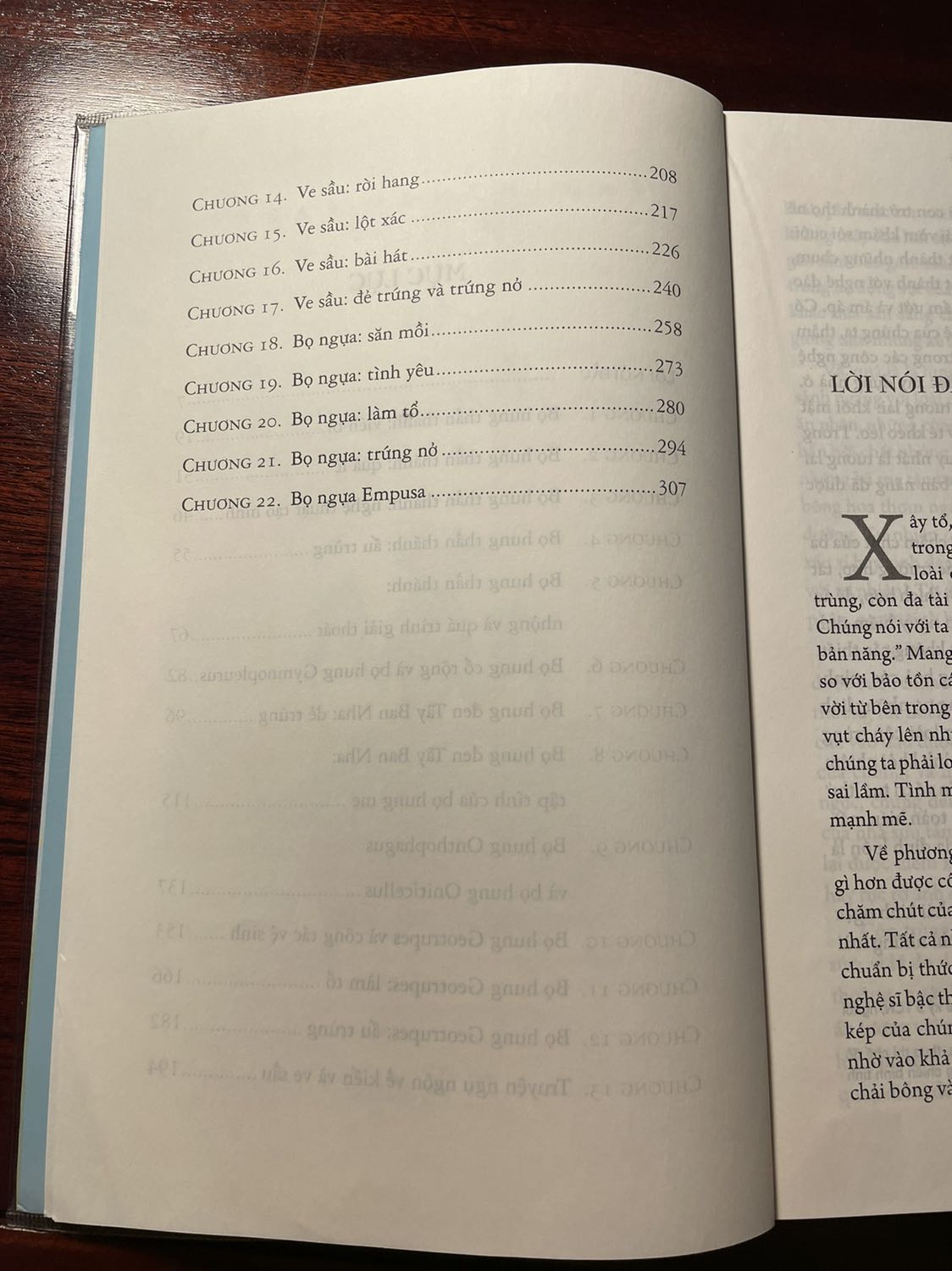 Sách hay. Nội dung dễ hiểu với người lớn. Có lẽ thích hợp với trẻ 9, 10 tuổi trở lên do dài.