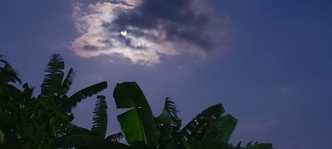 giao hàng nhanh, đóng gói cẩn thận, hạn còn dài, nếu bé thích sẽ tiếp tục mua giao hàng nhanh, đóng gói cẩn thận, hạn còn dài, nếu bé thích sẽ tiếp tục mua