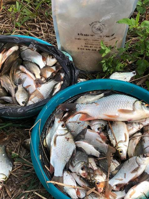 Shop giao hàng nhanh đúng sản phẩm rất tốt rcm mng nên mua nha