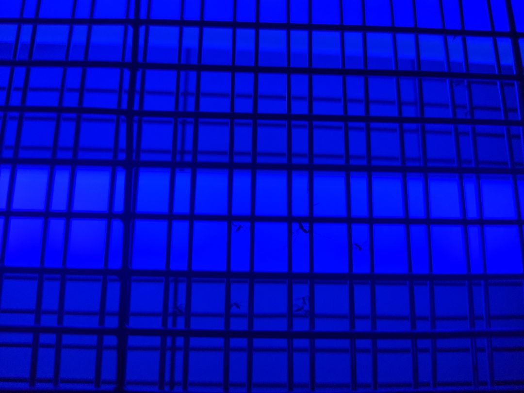 Giao hàng cực nhanh, cắm xài thử 30' tiêu diệt dc hơn chục em, con to nó nổ to giật mình luôn, con nhỏ chỏ dính vào thôi. Hài lòng ?