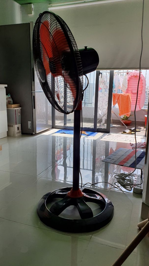 quạt mát, mạnh, mẫu mã đẹp. đáng đồng tiền mùa dịch!