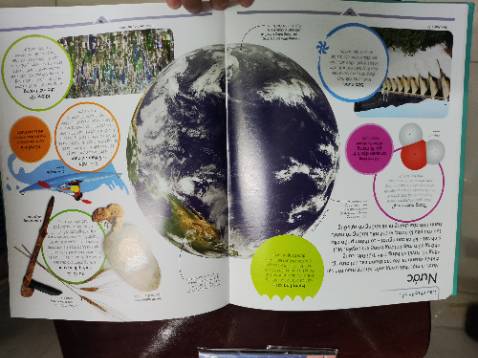 Sách đẹp, mong sẽ có trãi nghiệm tốt cùng con trẻ