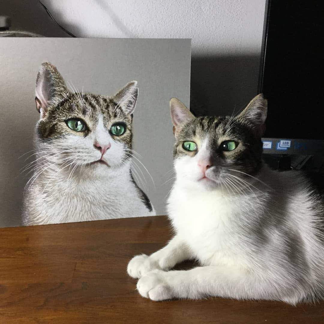 chất lượng tốt chất lượng tốt chất lượng tốt chất lượng tốt chất lượng tốt chất lượng tốt chất lượng tốt chất lượng tốt chất lượng tốt chất lượng tốt chất lượng tốt chất lượng tốt