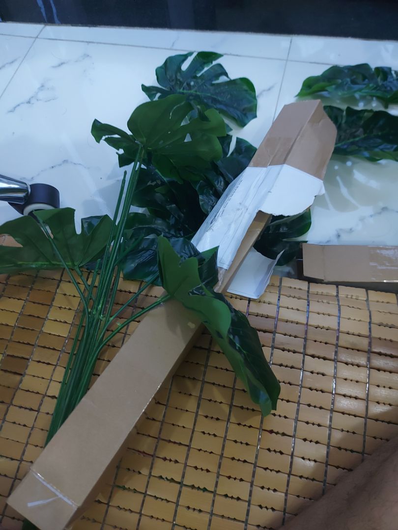 mình đặt 2 cây.  mà đc giao có 1 cây. yêu cầu shop giao thêm cho mình nha