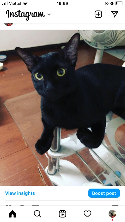 Sách hay, nội dung hấp dẫn