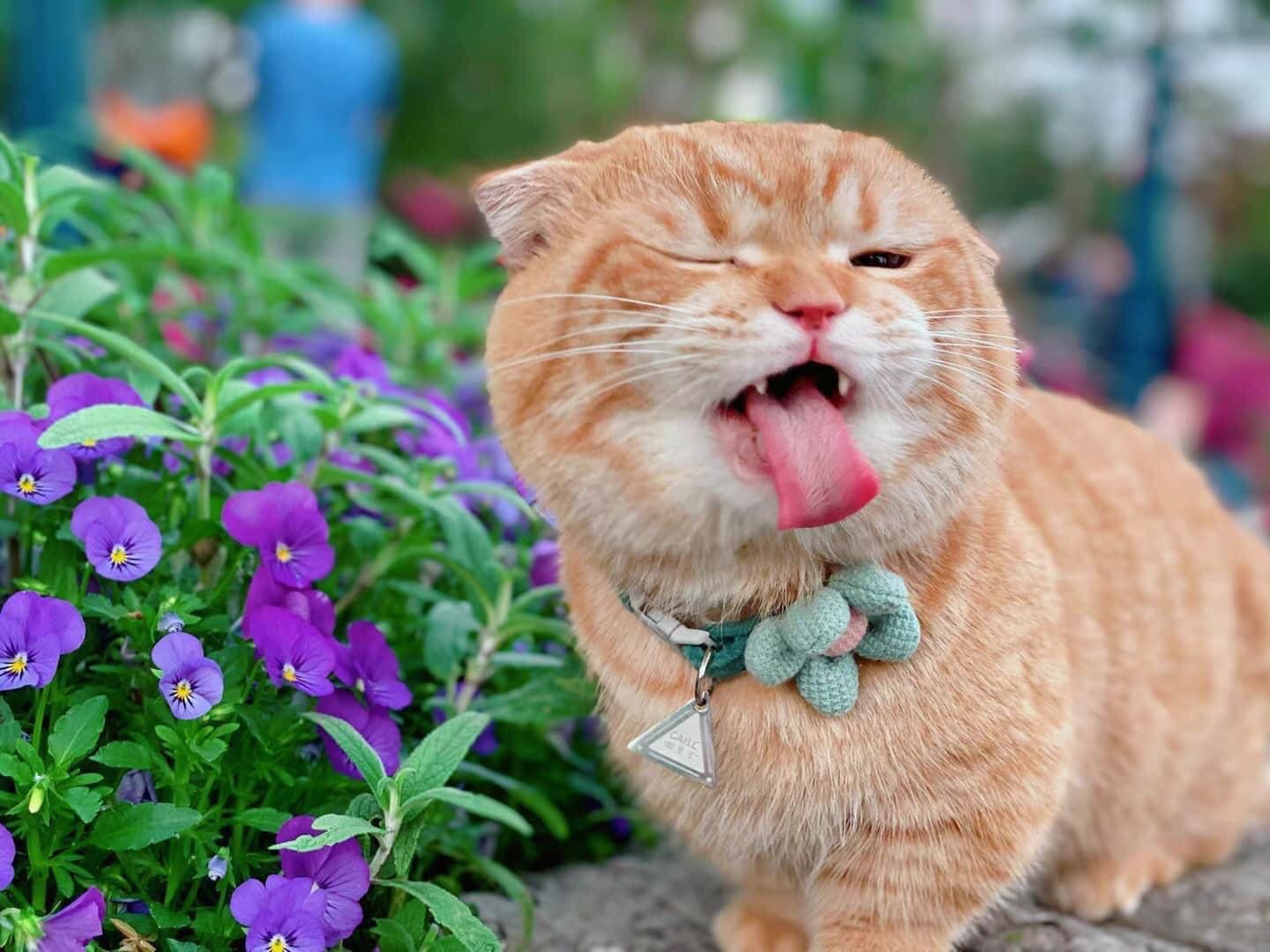 Hàng rất tốt , giá cũng hợp lí nữa . 
Thánk shop rất nhiều .
Có thêm các chương trình ưu đãi giá cho khách hàng nữa mọi ngừoi sẽ còn ủng hộ shop dài dài