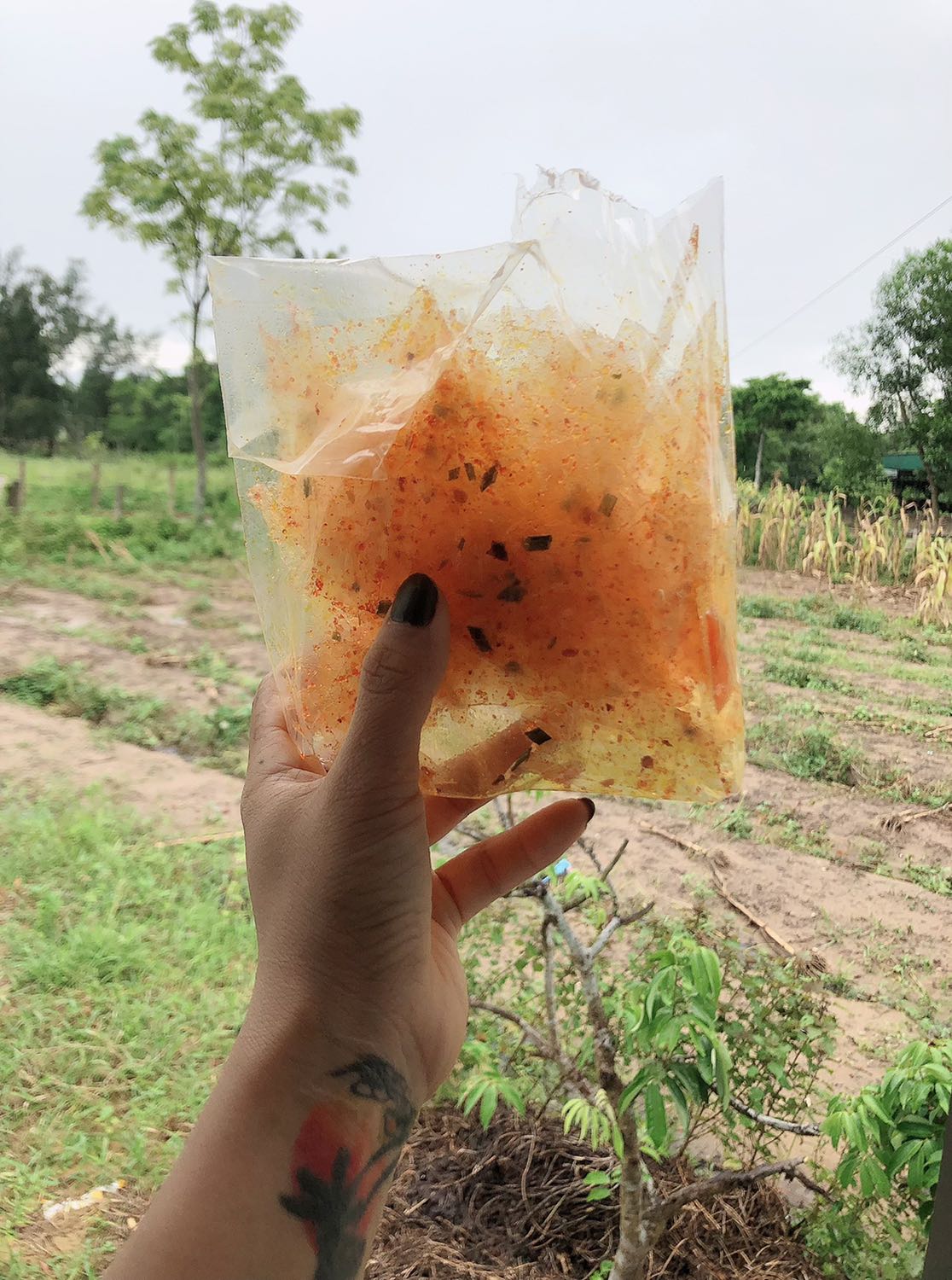 Lấy tạm hình! Quá thất vọng vì sản phẩm ghi là quần cao cấp mà chất lượng vải bình thường,dễ bị bai xù.phom quần rộng.
Mua tiki nhiều mà lần đầu tiên thất vọng về sản phẩm này.đề nghị tiki thắt chặt hoen về tính quảng bá sản phẩm để kg bị thổi phồng sản phẩm quá mức. Còn việc chăm sóc khách hàng của tiki rất chu đáo.