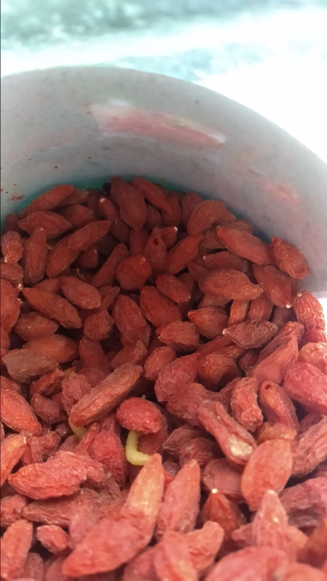 Đây là sản phẩm tệ nhất mà tôi từng mua tại Tiki.
hộp đóng sơ sài, chỉ có 1 cái tem nhỏ xíu dán giữa thân hộp và nắp hộp, không có gói chống ẩm.
ngày đầu tiên mở hộp thì có 1 kén ấu trùng và vài hạt mộc trên đầu, nhưng vì mở hộp rồi nên tôi bỏ những hạt bị hỏng đi và dùng.
sau khi dùng 1 tuần thì hộp bắt đầu xuất hiện dòi như hình ảnh.
tôi không thể tin được tiki có thể bán những sản phẩm tệ hại như trên, đáng tiếc là tiki không có chế độ hoàn tiền cho những sản phẩm như vậy.