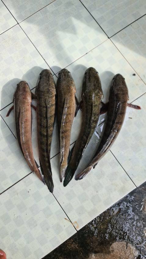 ok nhưng mà mới chia tay người yêu nen hơi buồn