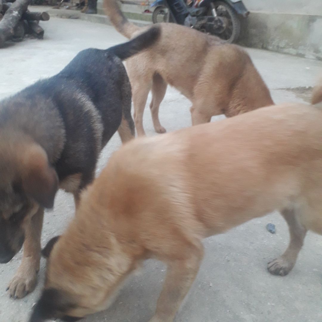 Hàng đẹp .Hài lòng. Hàng đẹp .Hài lòng.