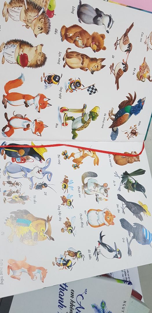 bìa cứng cáp, giấy cứng và bóng, màu sắc in cũng rất đẹp