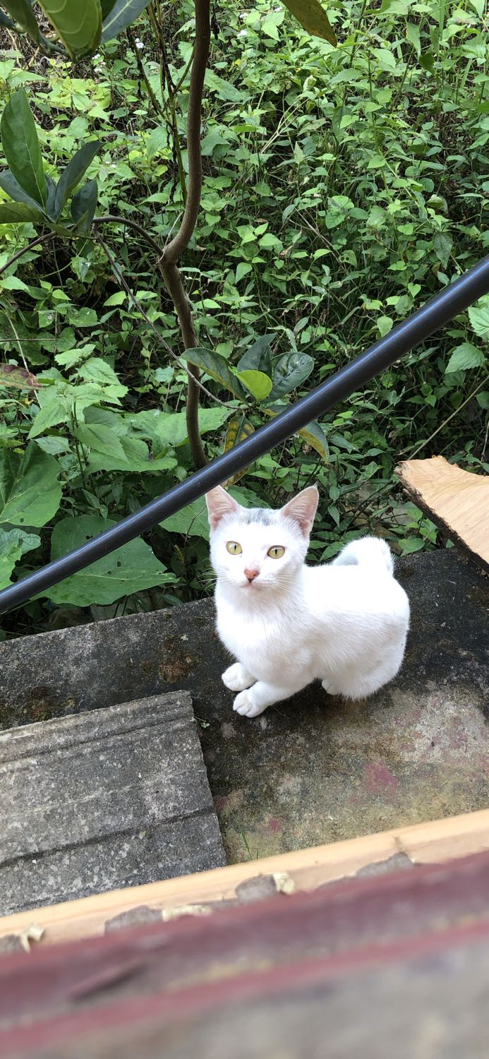 Hàng ok. Giao nhanh, đóng hàng cẩn thận Hàng ok. Giao nhanh, đóng hàng cẩn thận