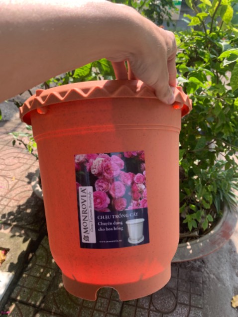 Tiki giao hành nhanh, hơn 3 tiếng là giao tới rồi. Chậu thì đẹp, chắc chắn, cầm nhẹ tay. Trên miệng chậu còn lỗ cắm khung leo cho mấy hoa hồng leo nhà mình, đỡ phải cắm xuống đất. 10 điểmmmm cho shop