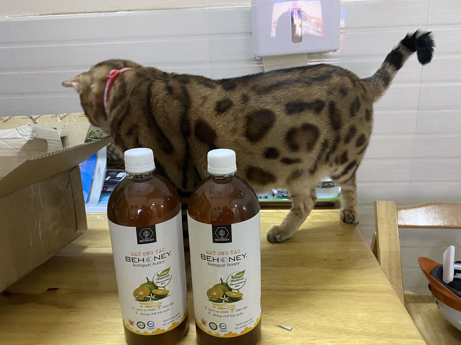 Đã mua SP của Behonex nhiều lần. Mật ong ? tắc rất ngon , uống với nước ấm vào buổi sáng giúp detox và giảm cân ! ??